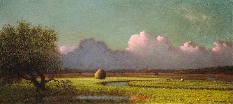 Sombra e luz: os pântanos de Newbury - Martin Johnson Heade