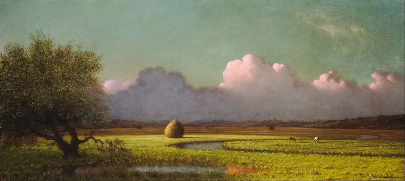 Sombra e luz: os pântanos de Newbury - Martin Johnson Heade