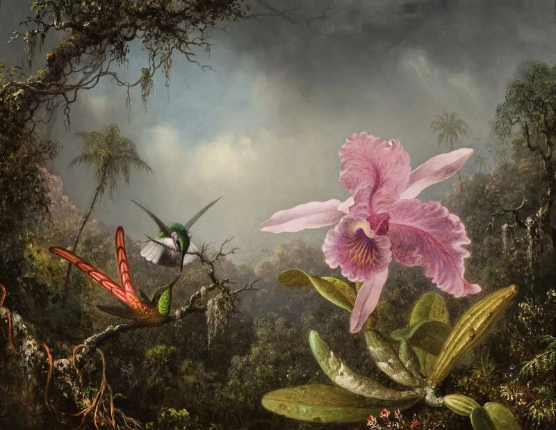 Orquídea com dois beija-flores - Martin Johnson Heade