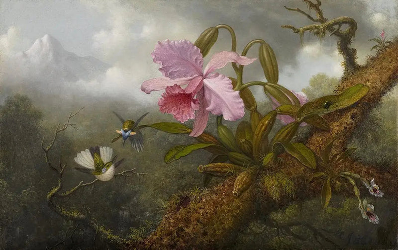 Orquídea Cattleya, dois beija-flores e um escaravelho - Martin Johnson Heade