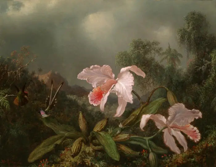 Orquídeas da selva e beija-flores - Martin Johnson Heade