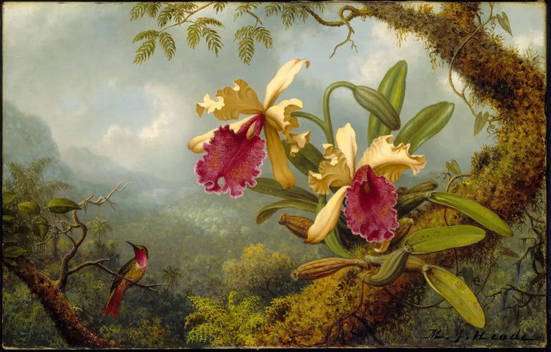 Orquídeas e beija-flor - Martin Johnson Heade