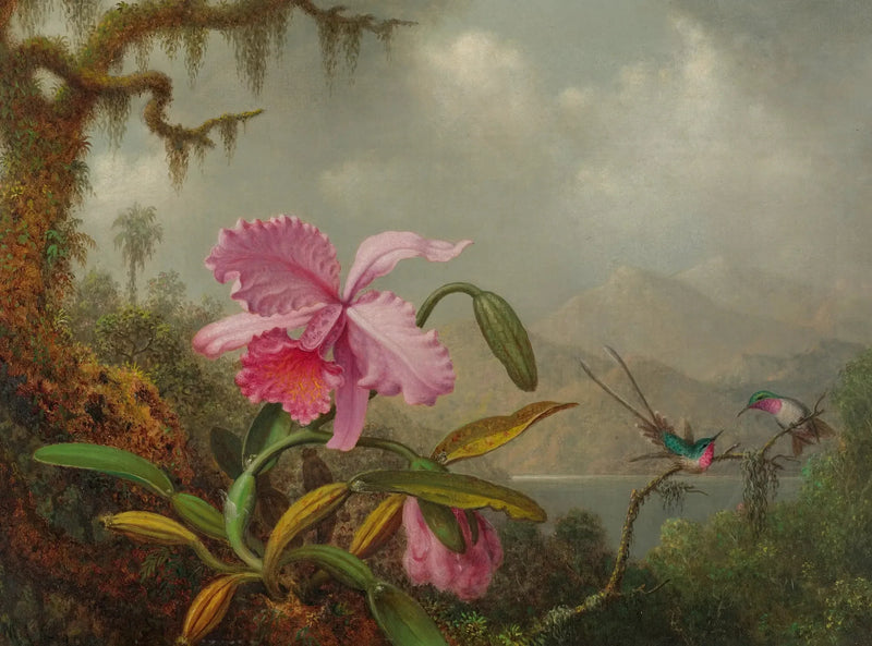 Orquídeas e beija-flores - Martin Johnson Heade