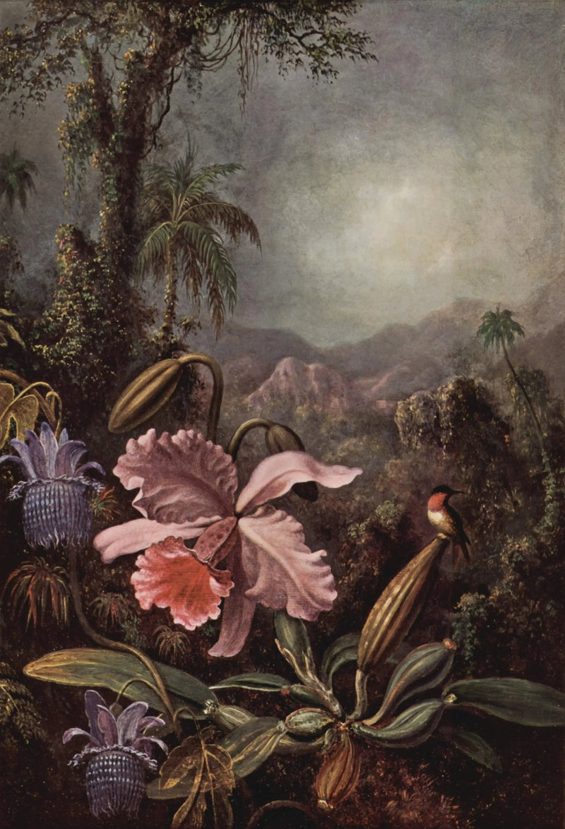 Orquídeas, passifloras e beija-flores - Martin Johnson Heade
