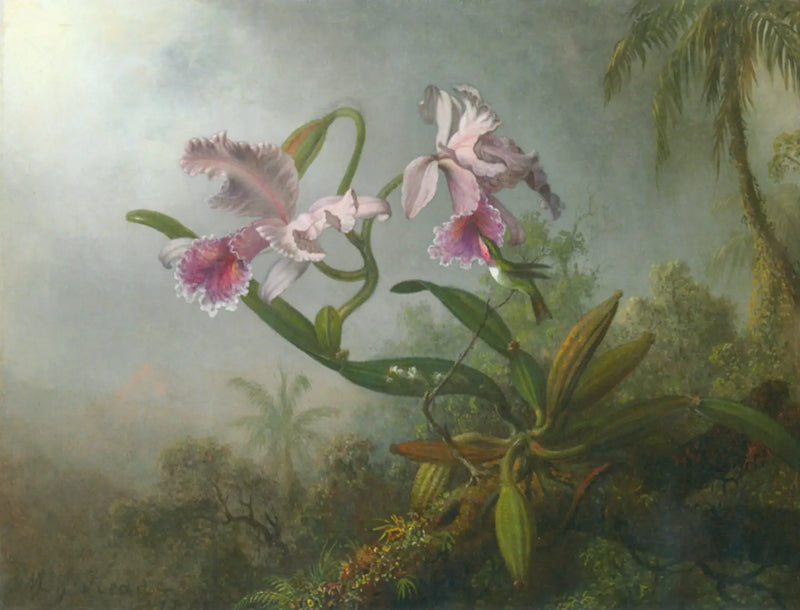 Orquídeas rosas e beija-flor em um galho - Martin Johnson Heade