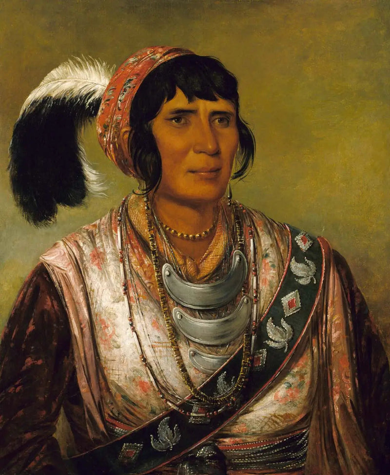Oceano, a bebida negra, um guerreiro de grande distinção - George Catlin