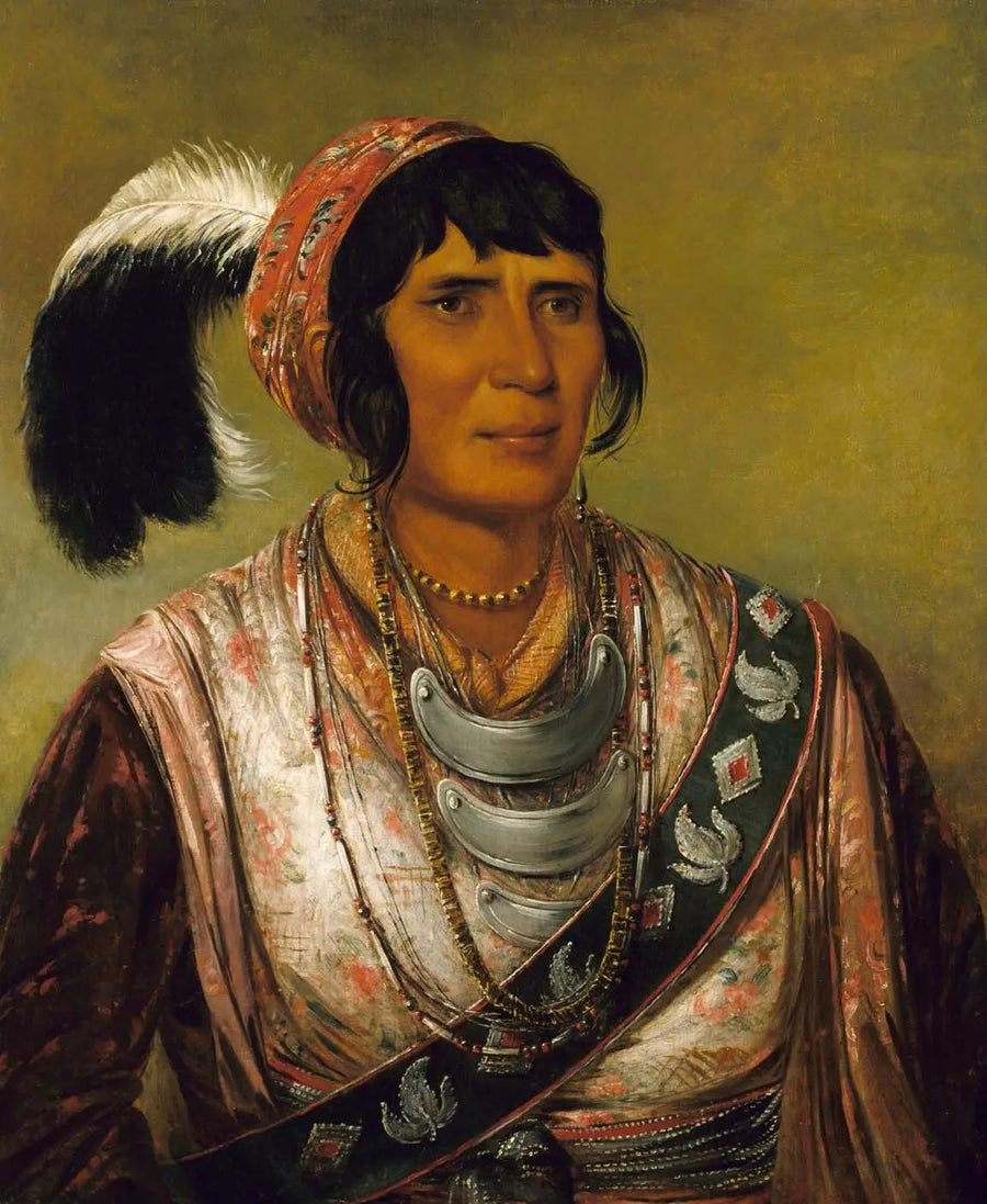 Oceano, a bebida negra, um guerreiro de grande distinção - George Catlin
