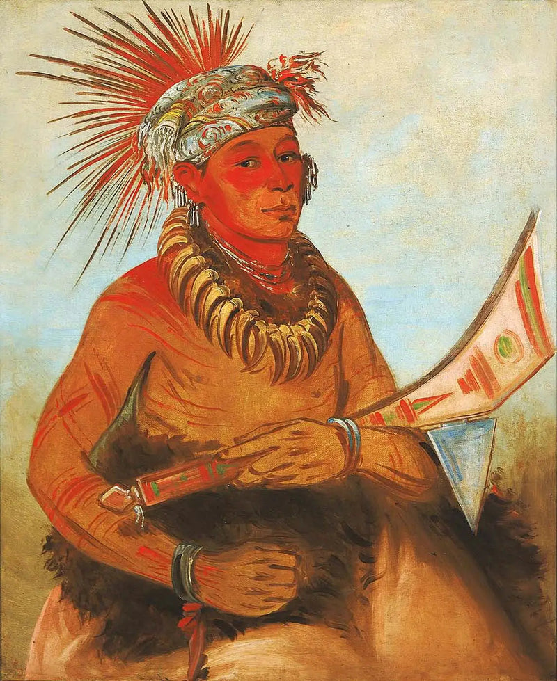 Pah-ta-cóo-chee, Shooting Cedar, um corajoso - George Catlin