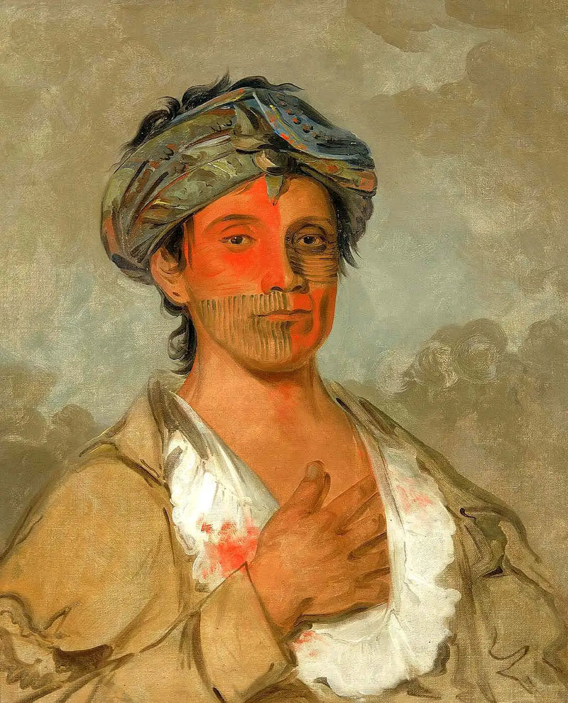 Pah-te-cóo-saw, homem hetero, semi-civilizado - George Catlin
