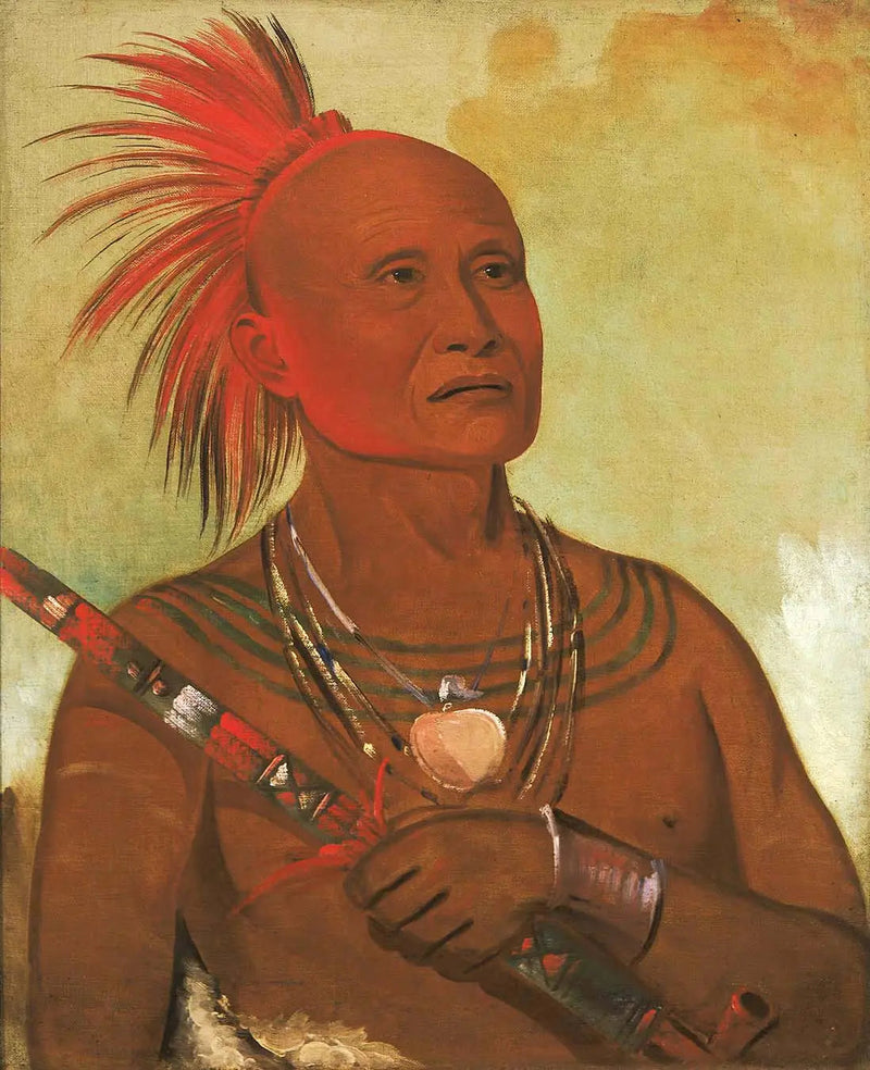 Pam-a-hó, o nadador, um dos guerreiros de Black Hawk - George Catlin