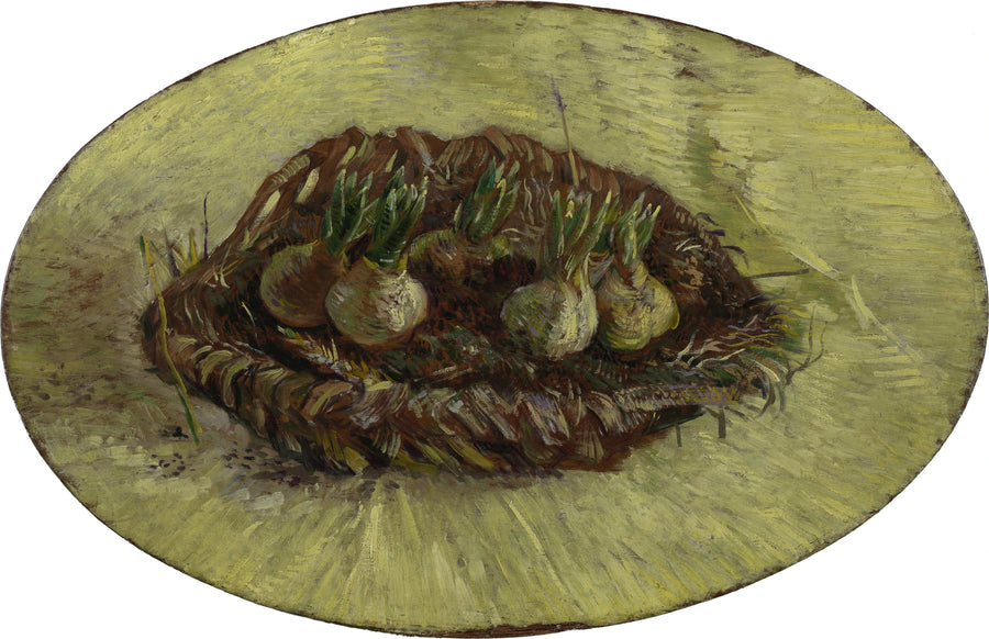 Cesto de bulbos de jacintos - Vincent van Gogh