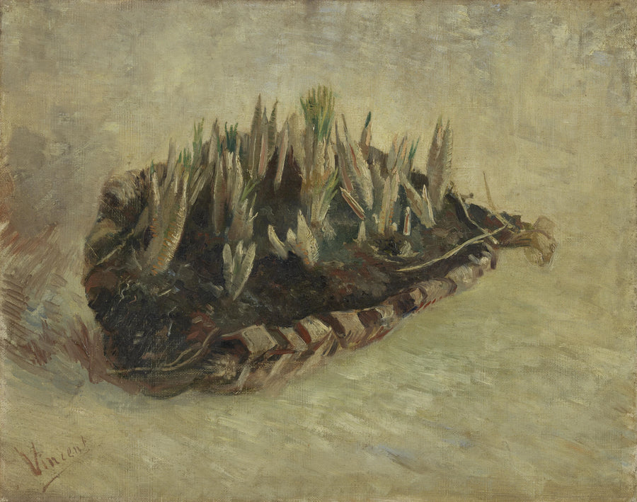 Cesto de bulbos de açafrão - Vincent van Gogh