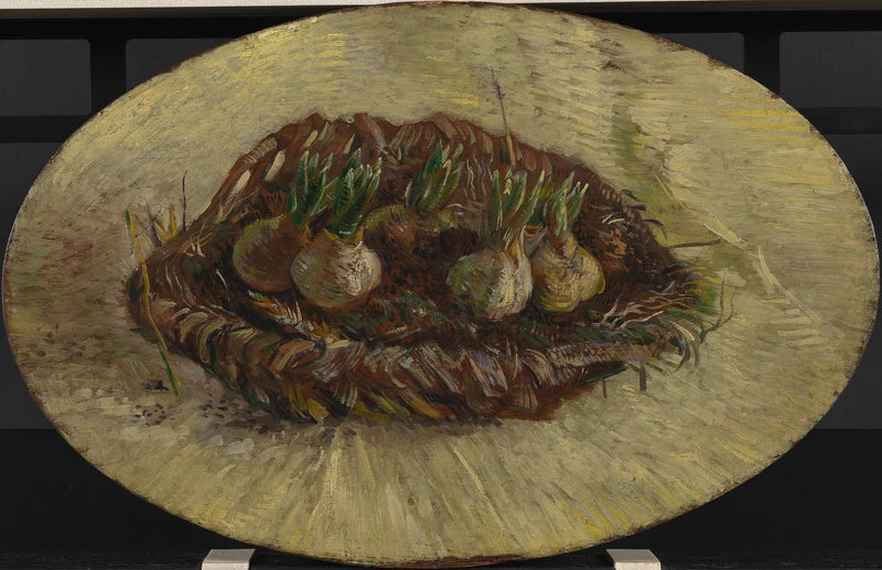 Cesto de bulbos de jacintos - Vincent van Gogh