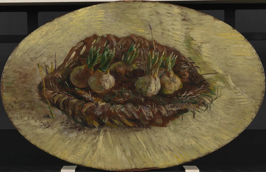 Cesto de bulbos de jacintos - Vincent van Gogh