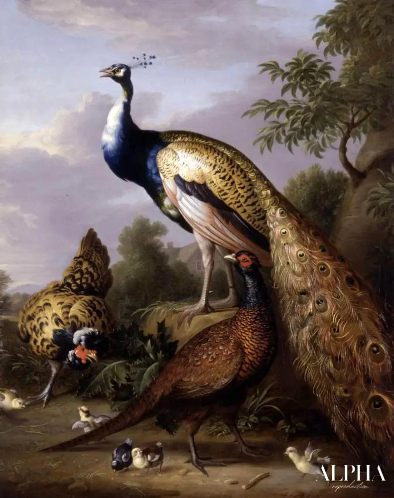 Paon, poule et coq faisan dans un paysage Type d'objet - Tobias Stranover - Reproductions de tableaux et peintures haut de gamme