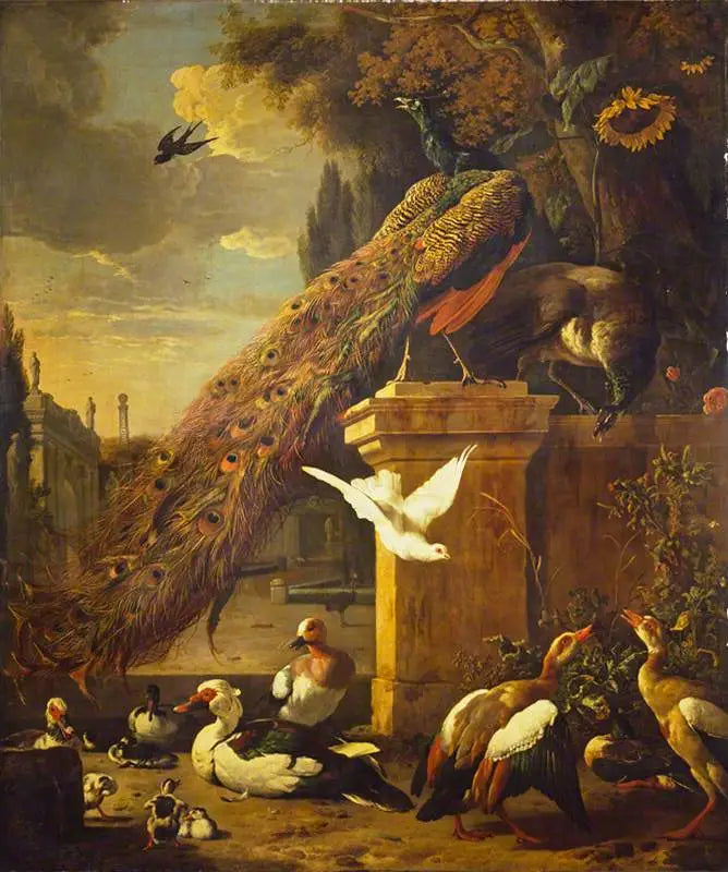 Pavões e patos - Melchior de Hondecoeter