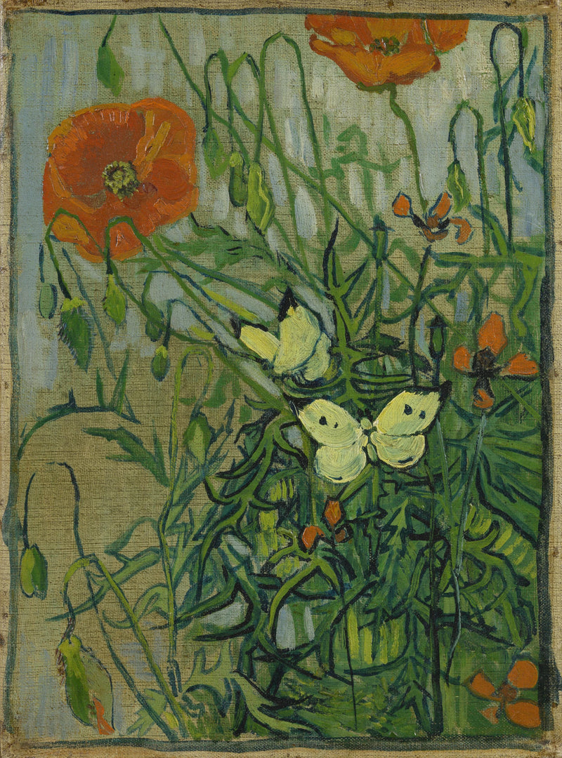 Borboletas e papoulas - Vincent van Gogh