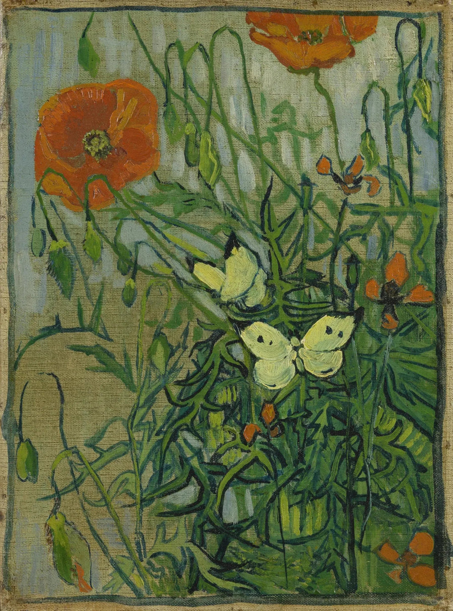 Borboletas e papoulas - Vincent van Gogh