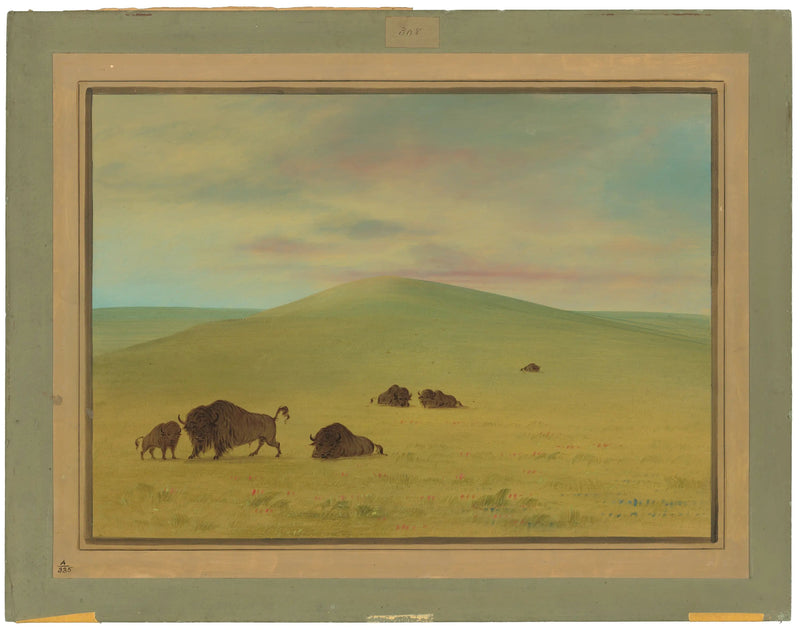 Pastagem Americana - Pradarias de Platte - George Catlin