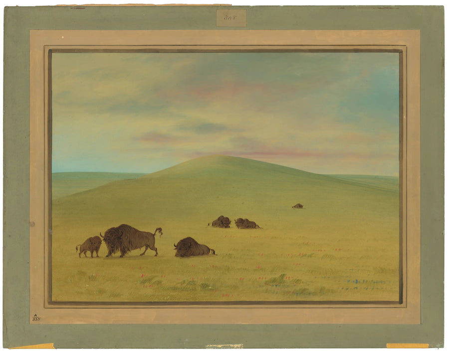 Pastagem Americana - Pradarias de Platte - George Catlin