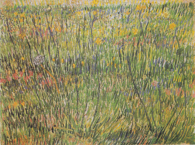Pastagem em flores - Vincent van Gogh