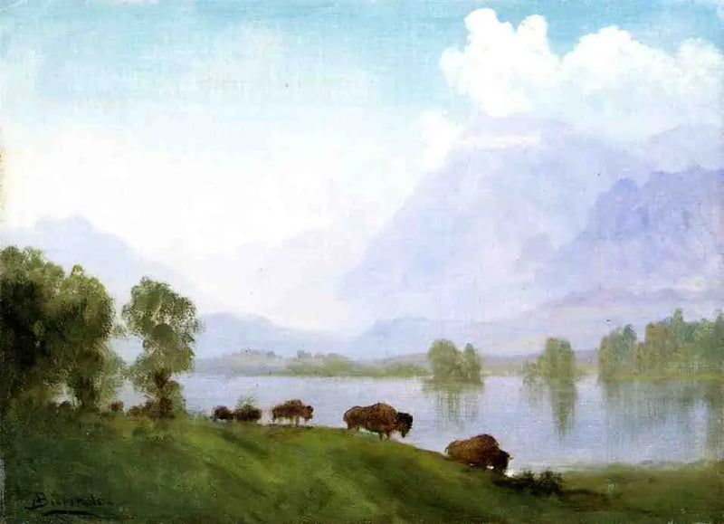 País dos bisontes - Albert Bierstadt
