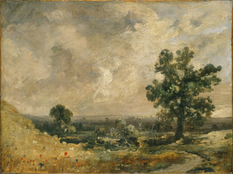Paisagem inglesa - John Constable