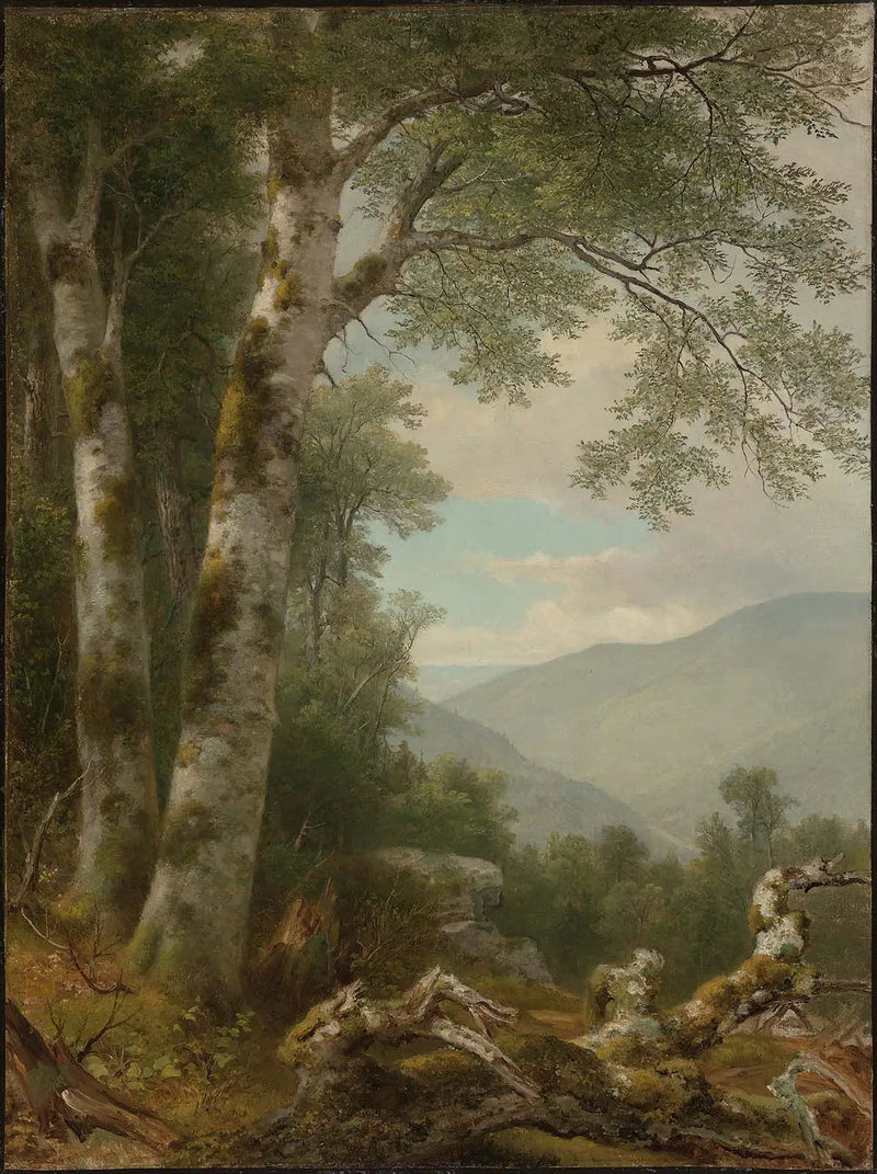 Paisagem com bétulas - Asher Brown Durand