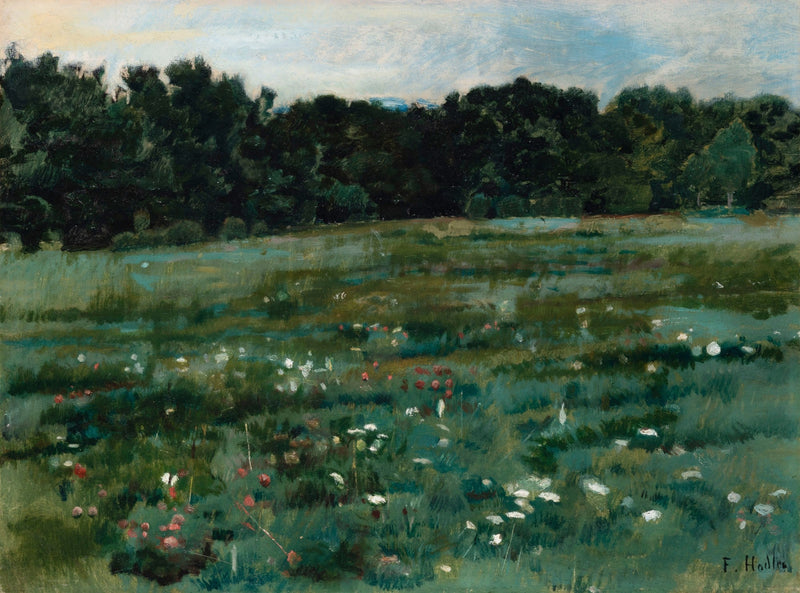 Paisagem com um prado e a borda de uma floresta - Ferdinand Hodler