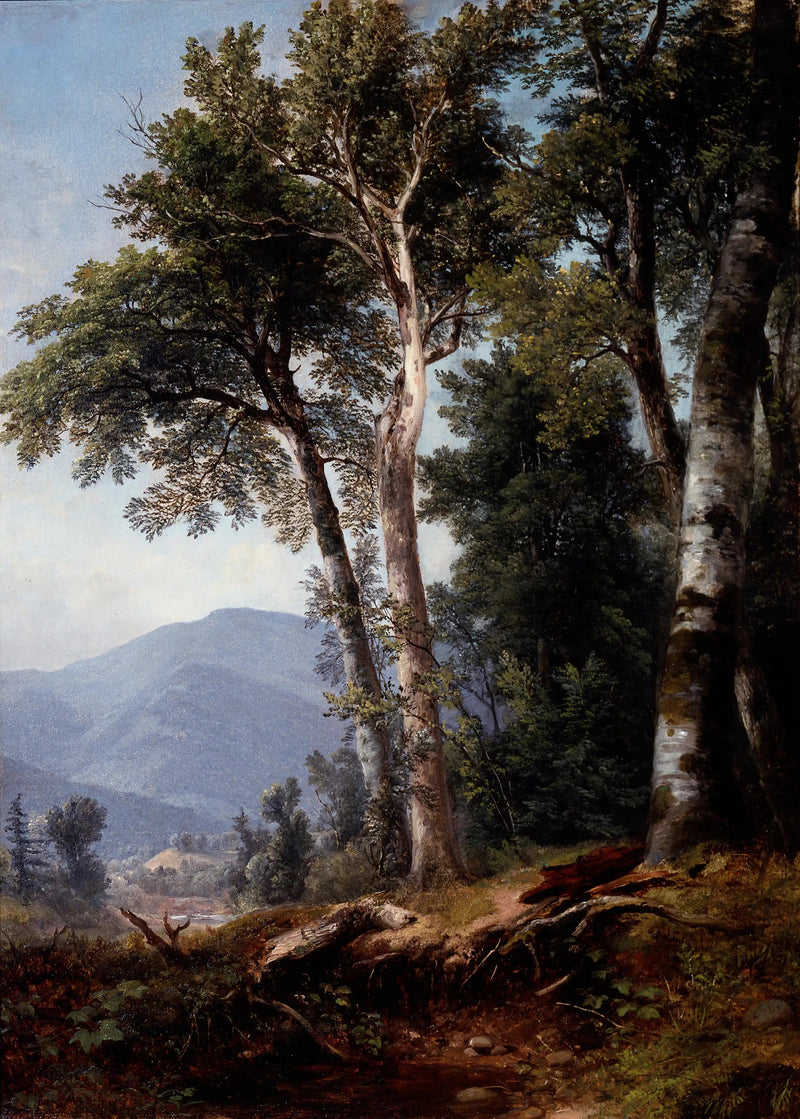 Paisagem arborizada - Asher Brown Durand