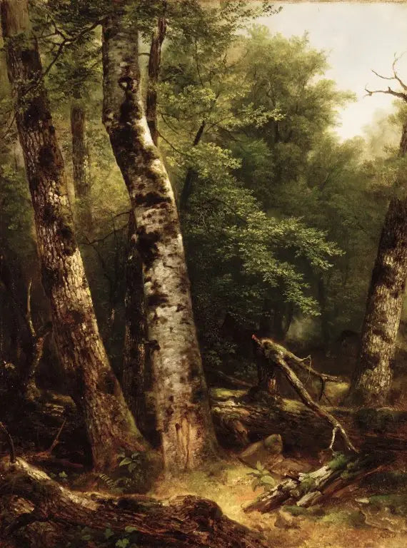 Paisagem ( choupos e carvalhos) - Asher Brown Durand