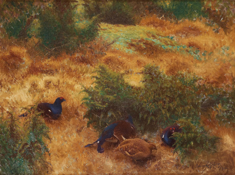 Paysage d'automne avec tétras lyre - Bruno Liljefors