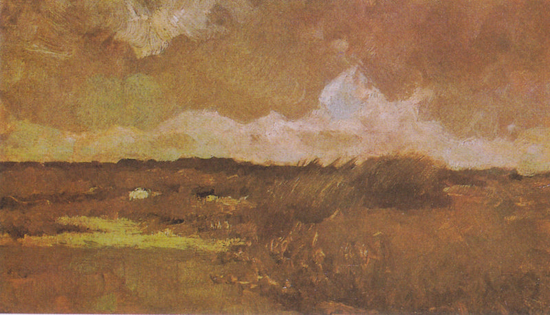 Paisagem pantanosa - Vincent van Gogh