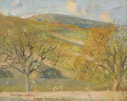 Paisagem montanhosa - Robert Delaunay