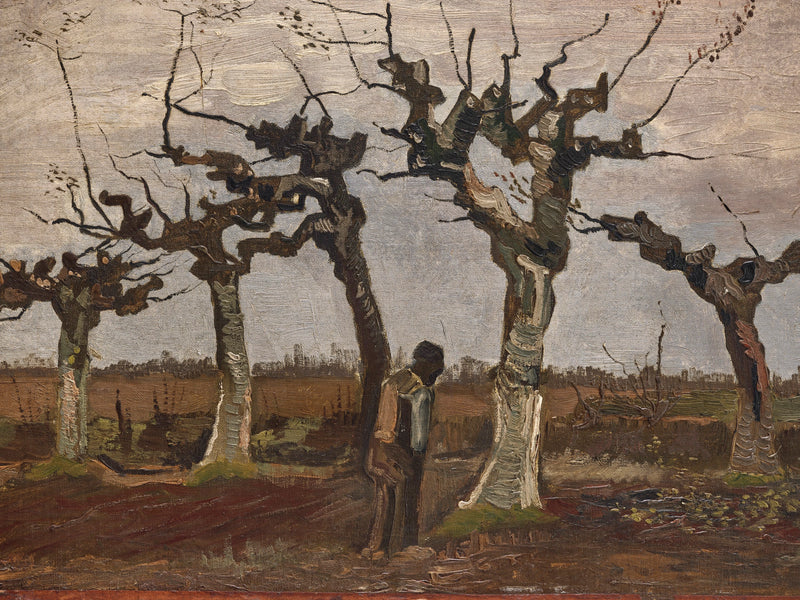 Paisagem com salgueiros tortuosos - Vincent van Gogh