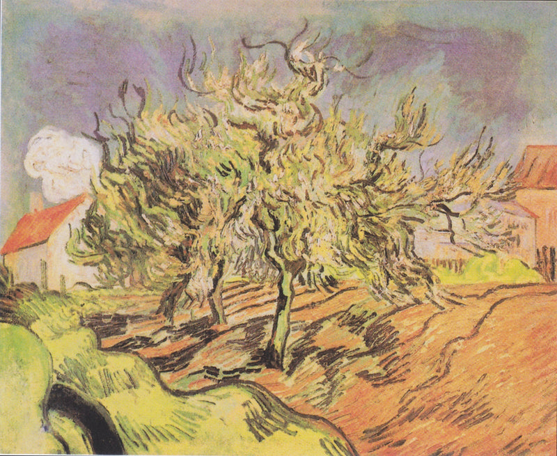 Paisagem com três árvores e casas - Vincent van Gogh