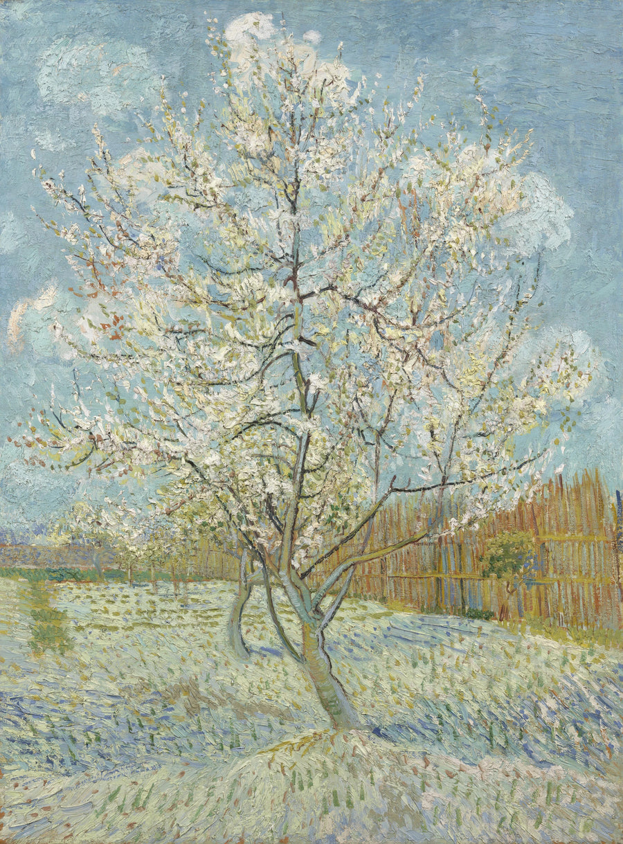 O pessegueiro rosa - Vincent van Gogh