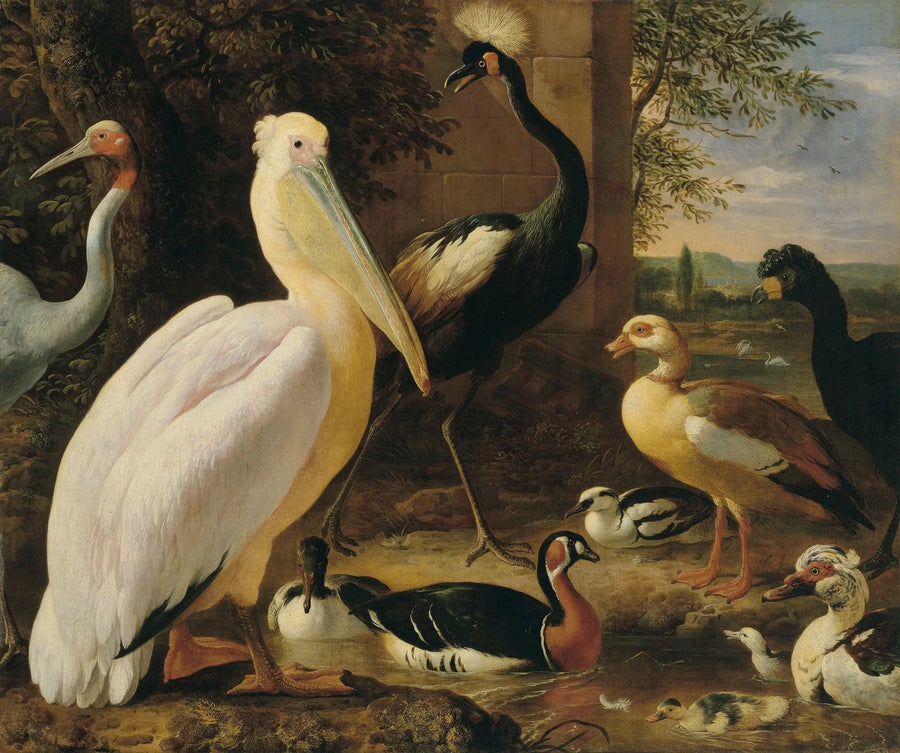 Pelicano, garça coroada, hocco, garça antigona e patos em uma paisagem fluvial - Melchior de Hondecoeter