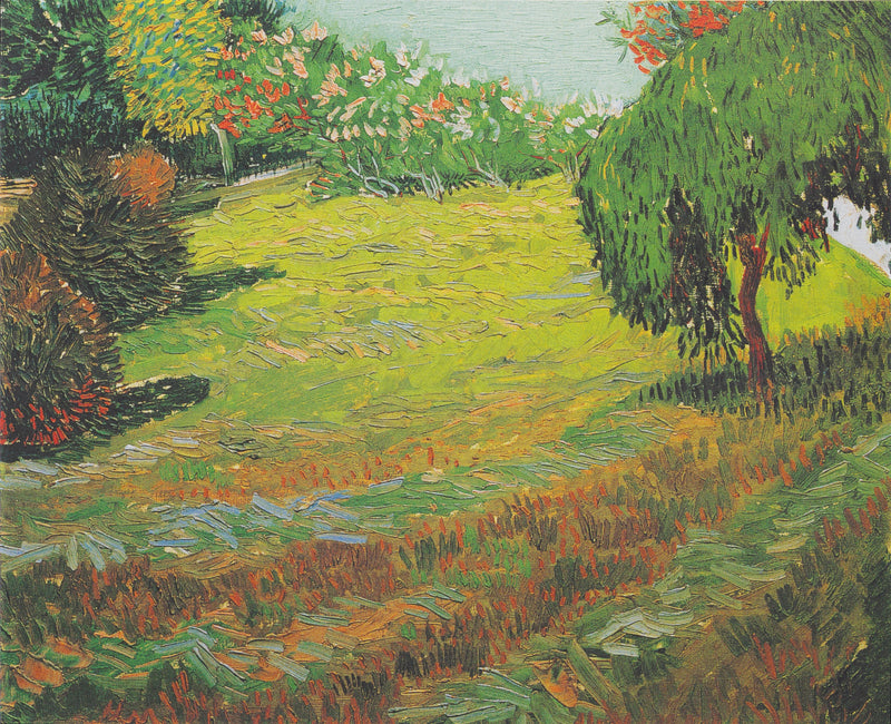 Gramado ensolarado em um parque público - Vincent van Gogh