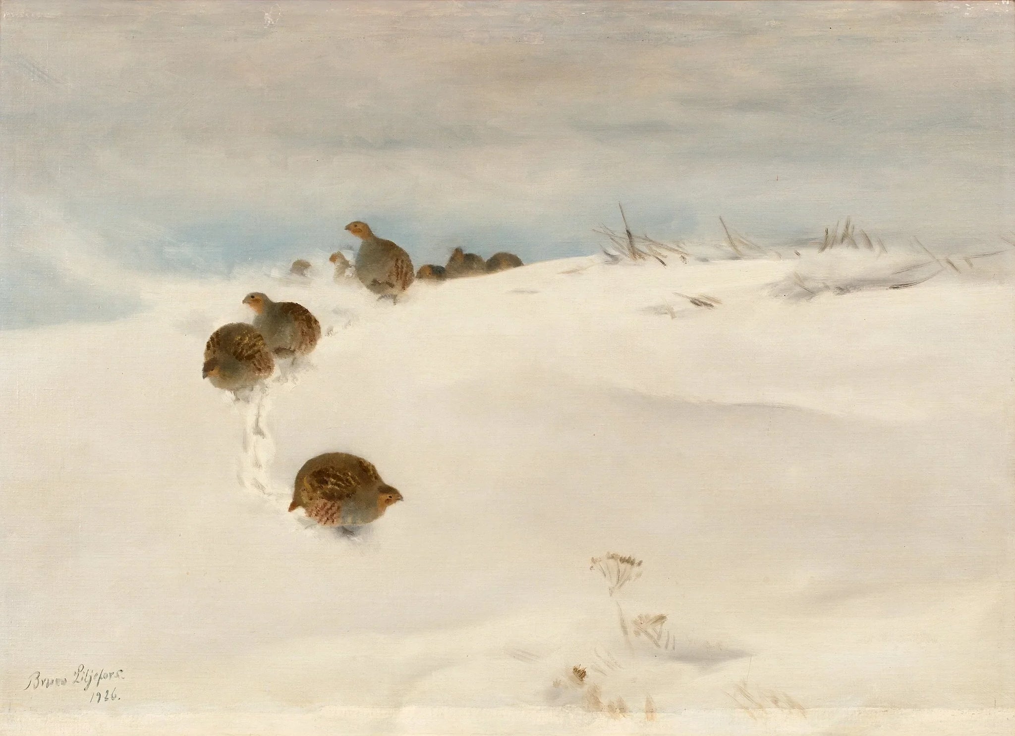 Perdrix grises dans un paysage hivernal - Bruno Liljefors image 1 reproduction artisanale de tableau