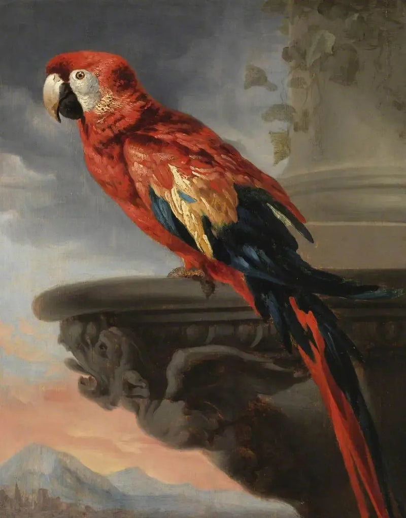 Periquito - Peter Paul Rubens