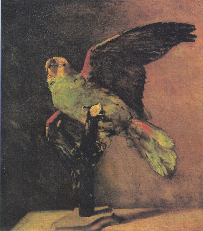 O papagaio verde - Vincent van Gogh