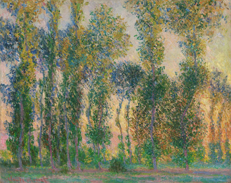 Árvores de Choupo em Giverny - Claude Monet
