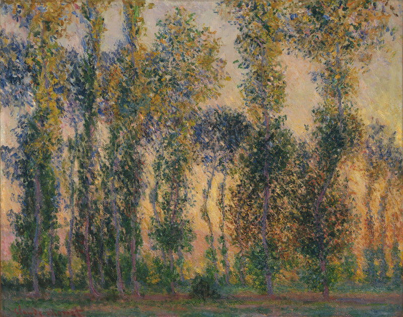 Les Peupliers em Giverny W1156 - Claude Monet