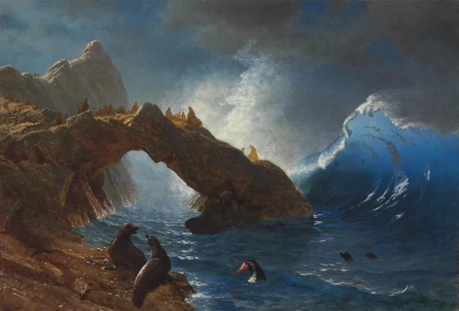 Focas nas rochas - Albert Bierstadt
