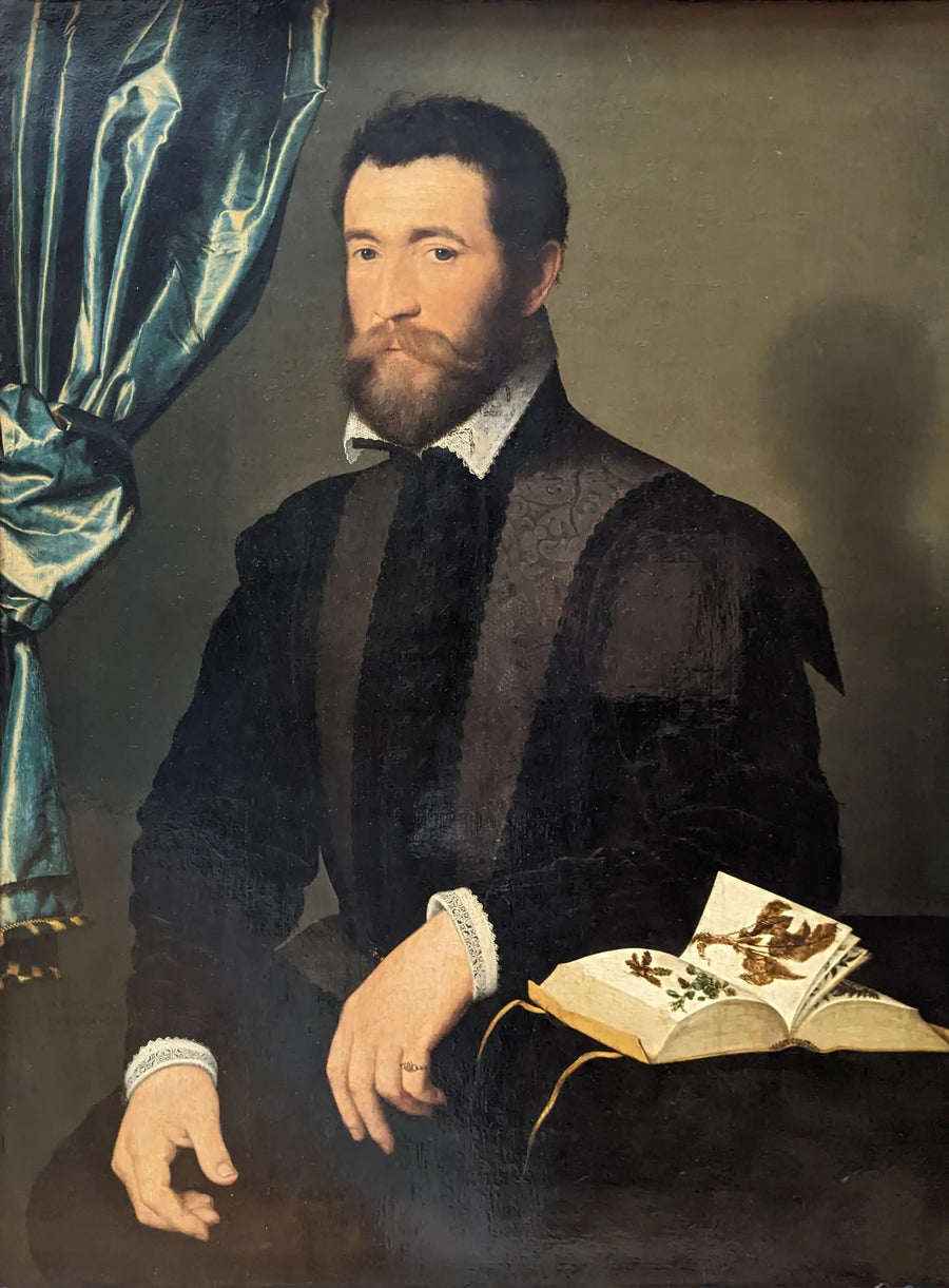Pierre Quthe, boticário - François Clouet