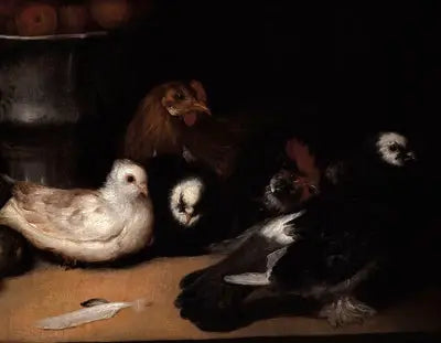 Pombos e aves domésticas - Francisco de Goya