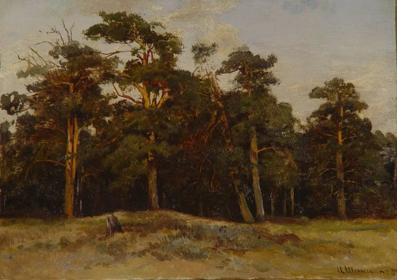 Pinos - Ivan Chichkine