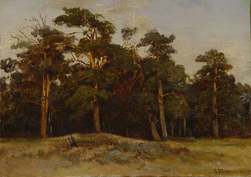Pinos - Ivan Chichkine