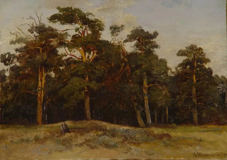 Pinos - Ivan Chichkine